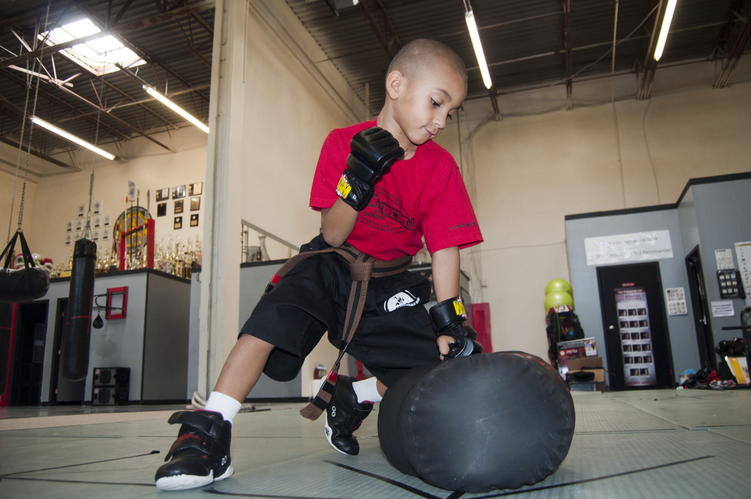 training-in-dojo